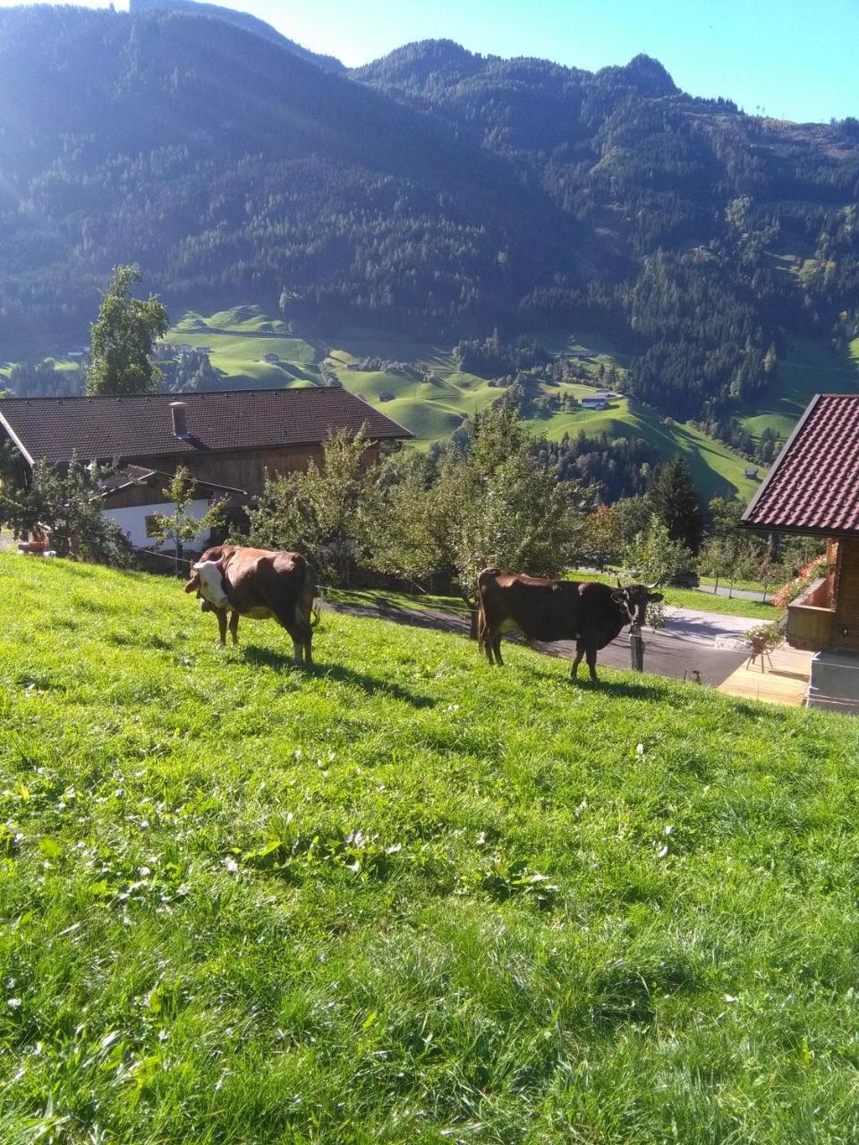 Stockhof Διαμέρισμα Zell am Ziller Εξωτερικό φωτογραφία